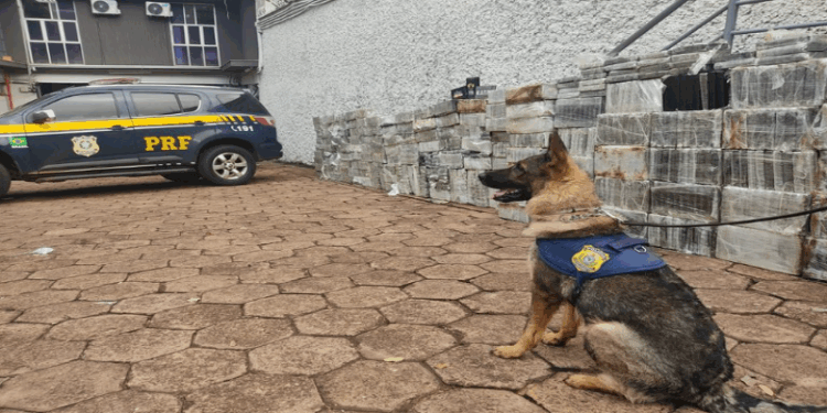 Maior apreensão de cocaína da história da Polícia Rodoviária Federal