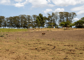 Nos últimos 10 anos, produção agropecuária perdeu R$ 287 bi devido desastres naturais