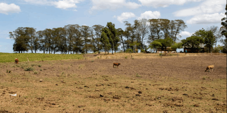 Nos últimos 10 anos, produção agropecuária perdeu R$ 287 bi devido desastres naturais