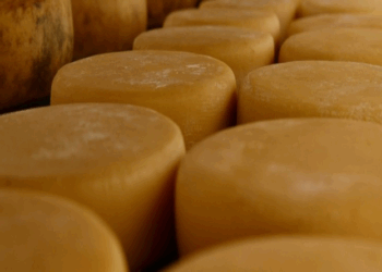 Acordo do Mercosul garante proteção a produtos típicos, como queijo da Canastra