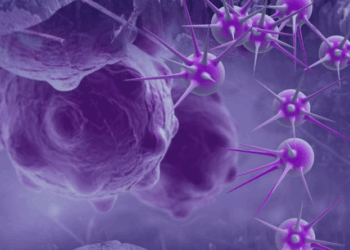 Cerca de um terço das mortes por câncer são evitáveis