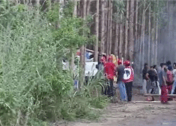 Justiça obriga membros do MST a desocuparem terras invadidas em Aracruz