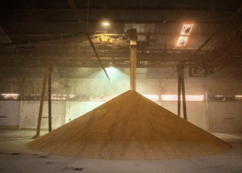 Déficit na armazenagem chega a 118,5 milhões de toneladas no Brasil