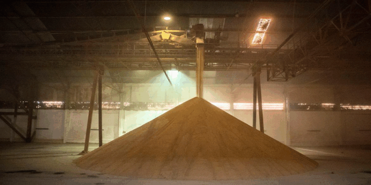 Déficit na armazenagem chega a 118,5 milhões de toneladas no Brasil