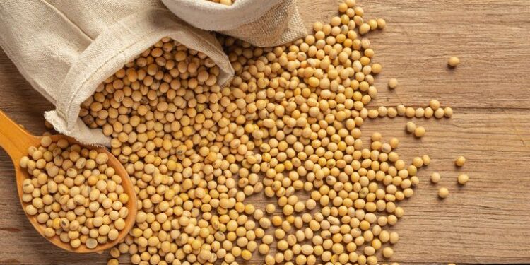 Preço da soja registra alta nesta segunda-feira (19)