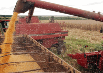 China aumenta em 20% importação de soja brasileira