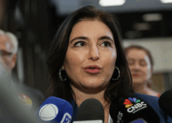 Queda no preço dos alimentos pode levar à redução dos juros, diz Tebet