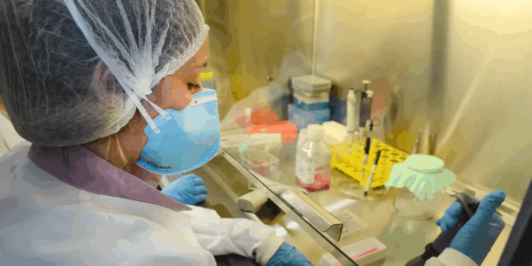 USP: pesquisa de vacina contra zika avança em testes com camundongos