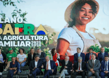 Plano Safra 25/26 prevê R$ 89 bilhões para agricultura familiar