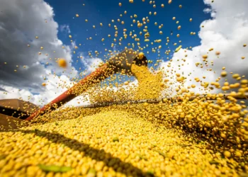 Brasil estima colheita de 354,8 milhões de toneladas de grãos