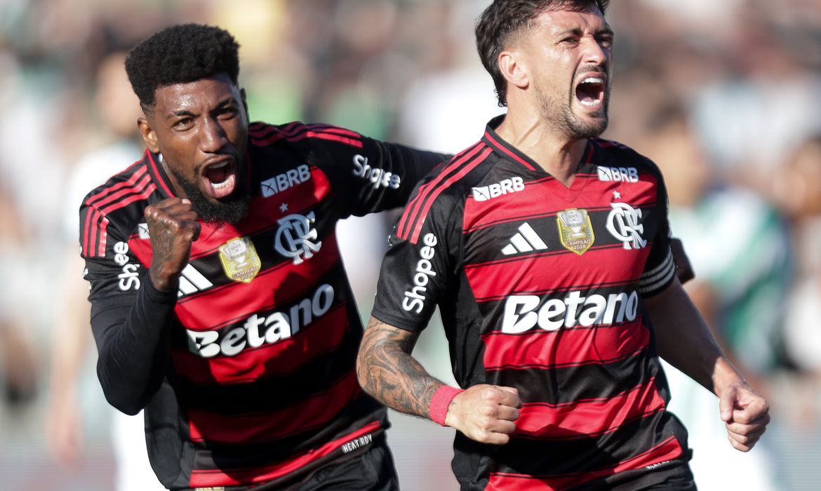 futebol, flamengo, juventude, brasileiro