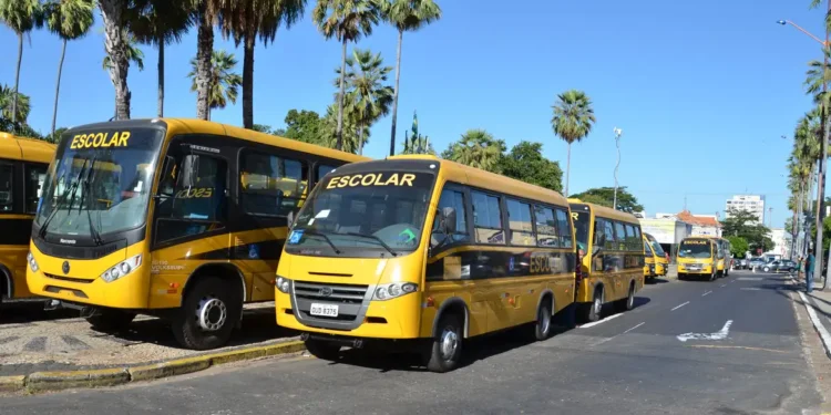 Nova legislação garante repasses para alimentação e transporte escolar