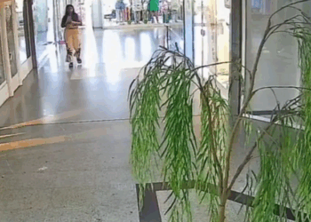 Capixaba presa no ES por incendiar loja no Rio agiu por ciúmes do marido