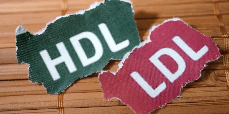 Colesterol não-HDL: um marcador essencial para o risco cardiovascular