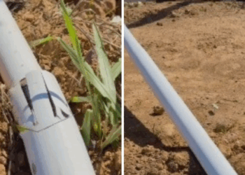 Luminárias e fios são furtados um dia após instalação em avenida na Serra