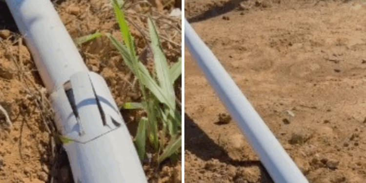 Luminárias e fios são furtados um dia após instalação em avenida na Serra