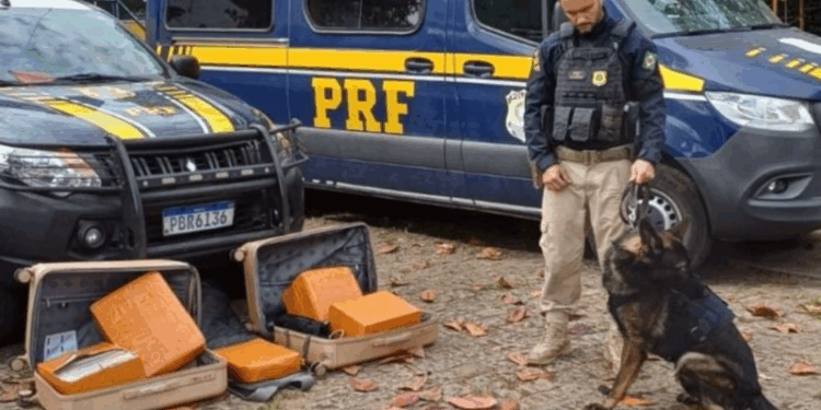 Passageiro é preso com 52 kg de maconha em ônibus na BR-101