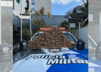 Mais de 50 quilos de maconha são apreendidos pela PM na Serra