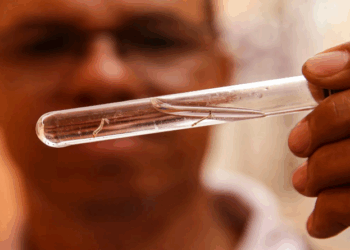 ES registra 2º caso de dengue tipo 3; variação tem maior risco de internação