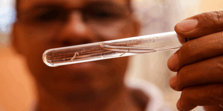 ES registra 2º caso de dengue tipo 3; variação tem maior risco de internação