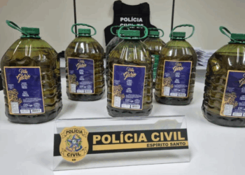 Empresa vendia óleo composto como azeite; entenda a fraude