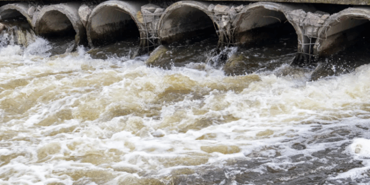 Falta de saneamento provocou mais de 340 mil internações em 2024