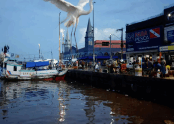 “Não consigo imaginar um fracasso”, diz secretário extraordinário para a COP30