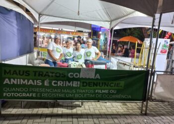 Associação Pata Amiga, de Pedro Canário: Oito anos de dedicação aos animais em situação de rua