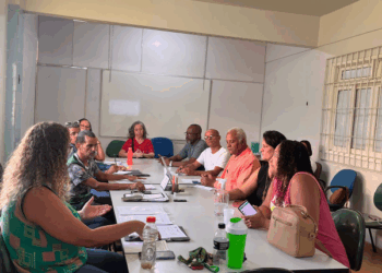 Conselho Municipal dos Direitos da Pessoa com Deficiência Realiza 132ª Reunião Ordinária em Cariacica