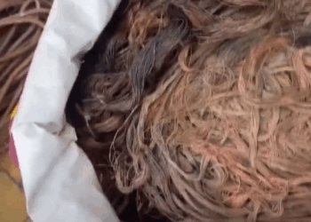 Furto de fios de cobre na Praia da Costa termina com homem preso