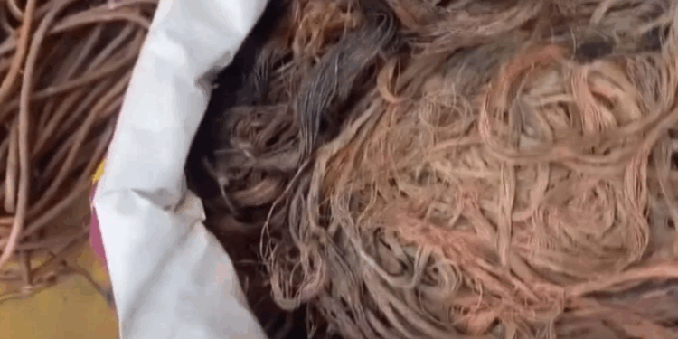 Furto de fios de cobre na Praia da Costa termina com homem preso