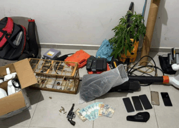Polícia prende suspeitos de roubar 5 toneladas de pimenta no ES