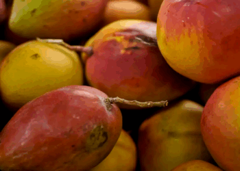 Abrafrutas apoia plano e pede atenção a pequenos produtores