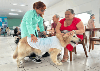 Terapia Assistida por Animais é alvo de proposta