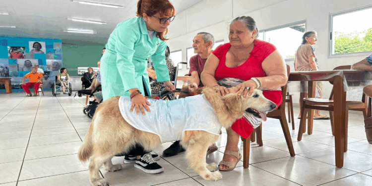 Terapia Assistida por Animais é alvo de proposta