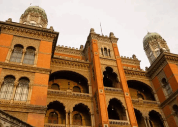 Casos de vírus respiratório e Influenza A estão em queda no Brasil