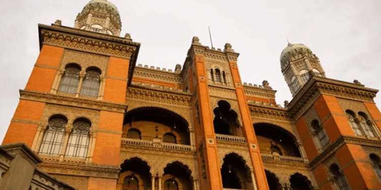 Casos de vírus respiratório e Influenza A estão em queda no Brasil