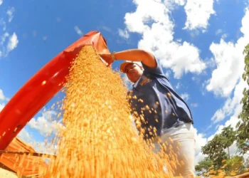 Brasil deve ter nova safra recorde de grãos em 2025/26, diz Conab