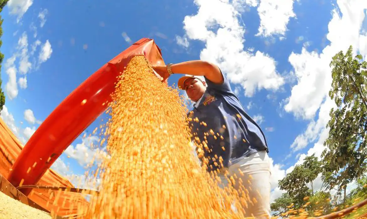 Campo Grande (MS), 23/10/2024 - Colheita de soja e agronegócio. Foto: Prefeitura de Campo Grande/Divulgação