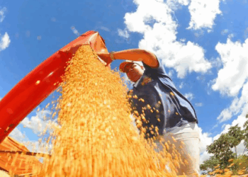 Balança comercial tem menor superávit para julho em três anos