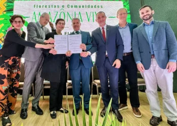 19/12/2025 – Fundo Amazônia: cadeias produtivas de florestas terão R$ 96,6 milhões
