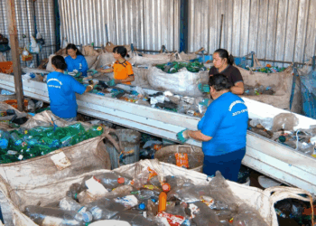 Em dois anos, país aumenta reciclagem de embalagens PET em 14%