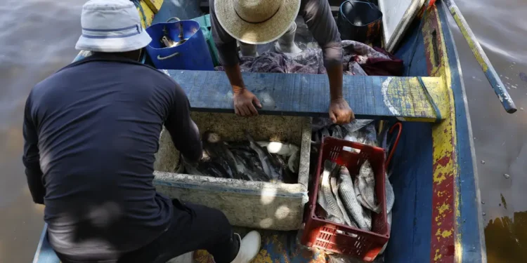 21/12/2025 – Pesquisadores encontram mercúrio em peixes da Baía de Guanabara