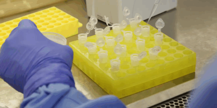 Rio confirma dois casos de sarampo na Baixada Fluminense