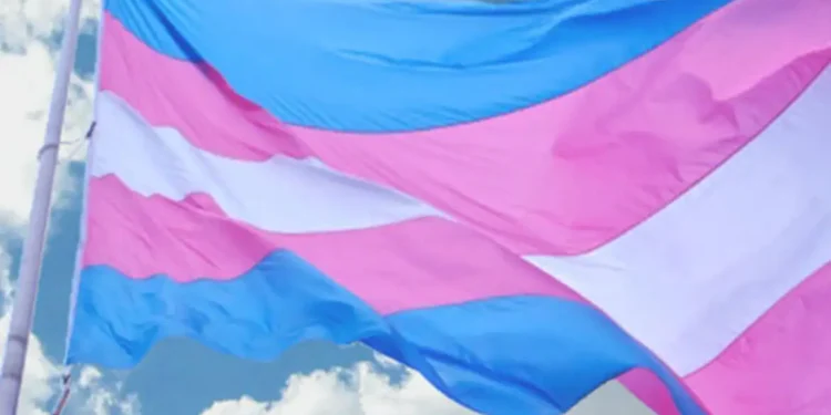 Preconceito dificulta rastreio e tratamento de câncer em pessoas trans