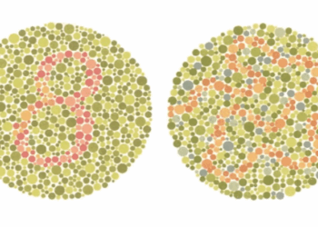 Desafio das cores: você enxerga como a maioria das pessoas?