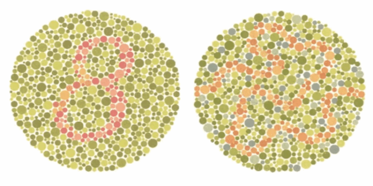 Desafio das cores: você enxerga como a maioria das pessoas?