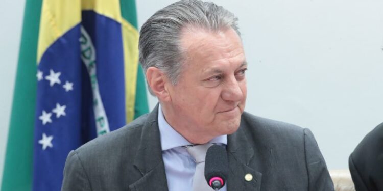 Comissão de Agricultura da Câmara cobra regulamentação de lei sobre cultivo sustentável de bambu  Fonte: Agência Câmara de Notícias