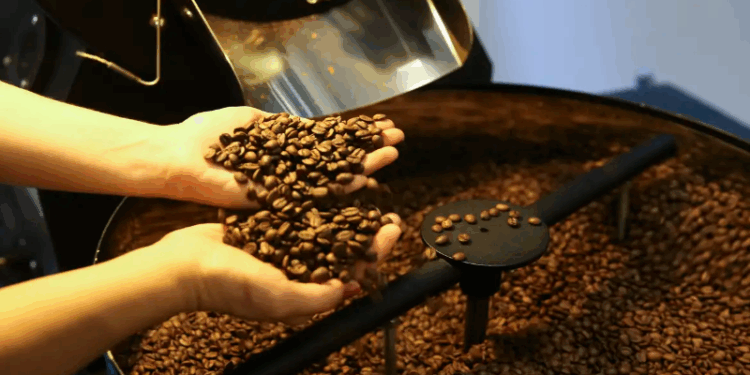 Setor cafeeiro pode ser forçado a redirecionar produção, diz USP