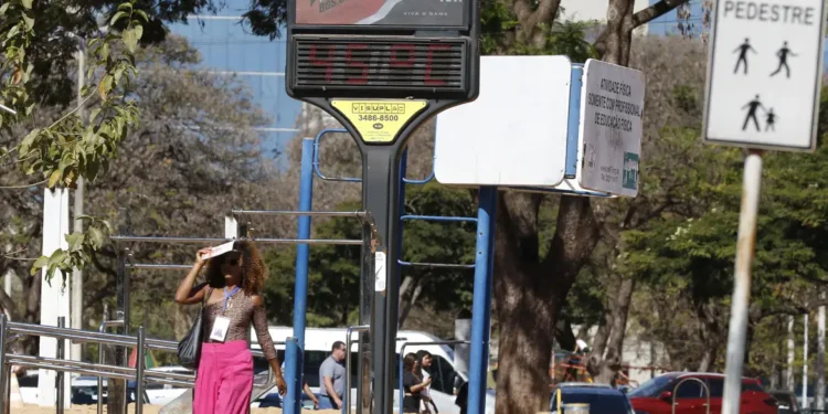 Efeitos das mudanças do clima agravam alergias, diz especialista